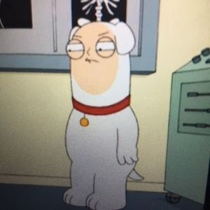 Meet your Posher, Ray